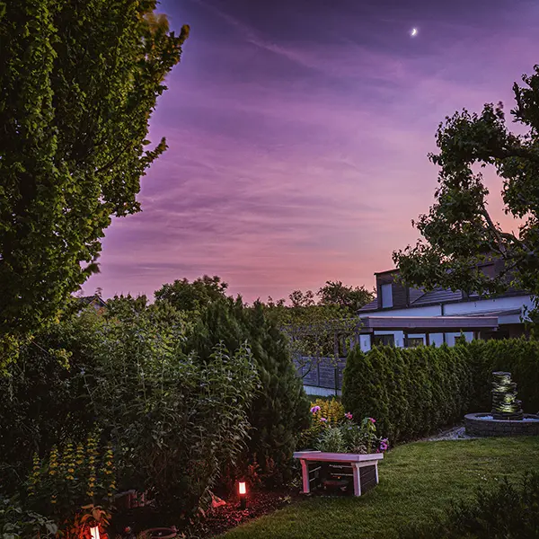 A quiet night under cosmic whispers