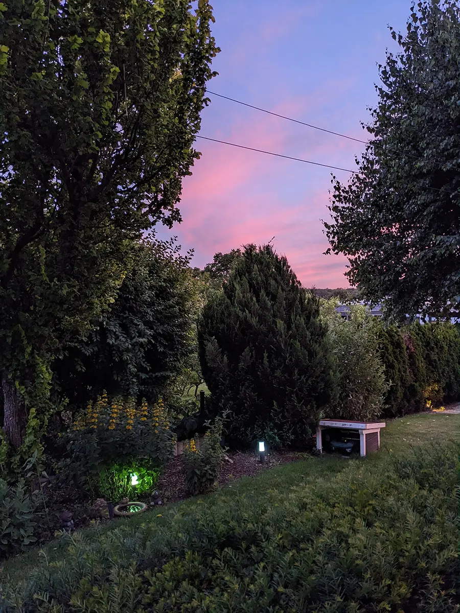 A warm summer night