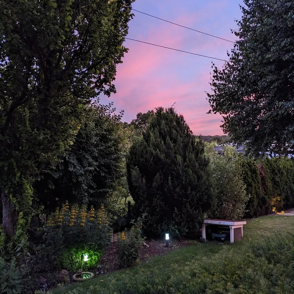 Eine warme Sommernacht